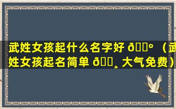 武姓女孩起什么名字好 🌺 （武姓女孩起名简单 🌸 大气免费）